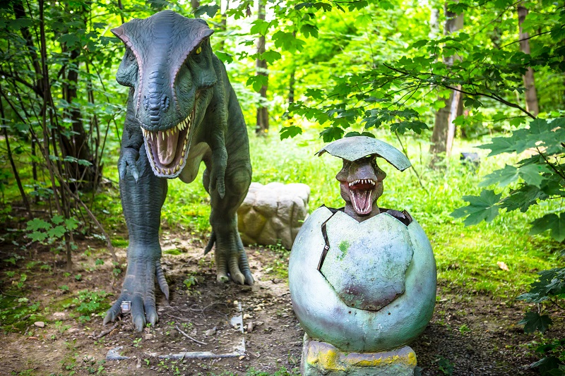 Zatorland - nauka poprzez zabawę - wycieczka szkolna jednodniowa