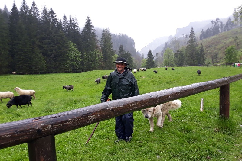 Tatrzańska wyprawa z wyjściem w góry  - wycieczka szkolna