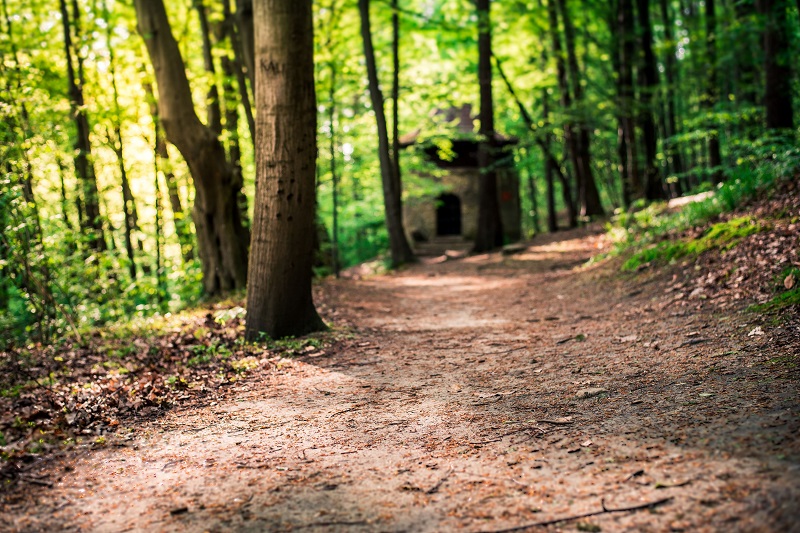 Śląskie atrakcje -   wycieczka szkolna jednodniowa