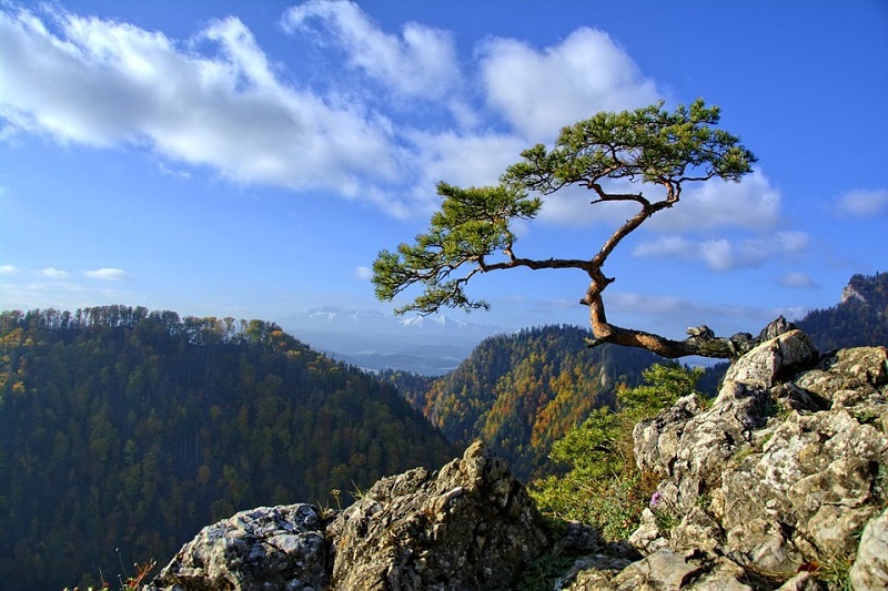 Pieniny w trzy dni - wycieczka szkolna 3 dniowa