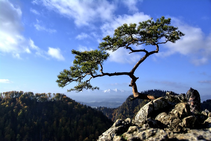 Pieniny w trzy dni - wycieczka integracyjna  