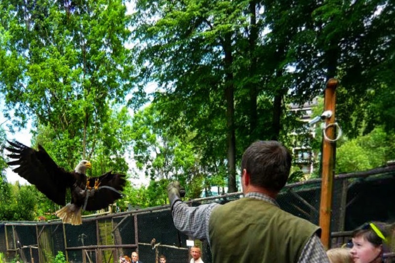 Atrakcje Beskidu - wycieczka szkolna 