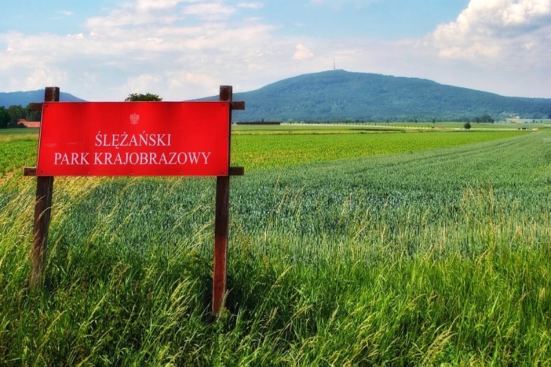 Lekcja geografii na szczycie góry Ślęża - szkolna wycieczka edukacyjna