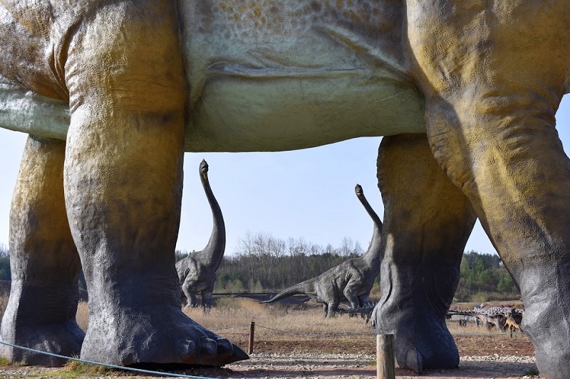 JuraPark Krasiejów - wycieczka szkolna jednodniowa